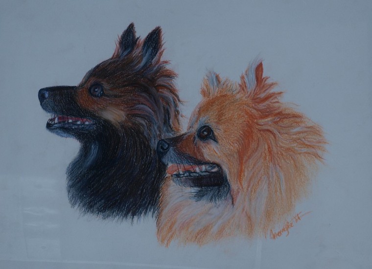 Lola & Lady, Keeshondjes