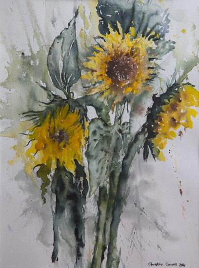 Sunflowers