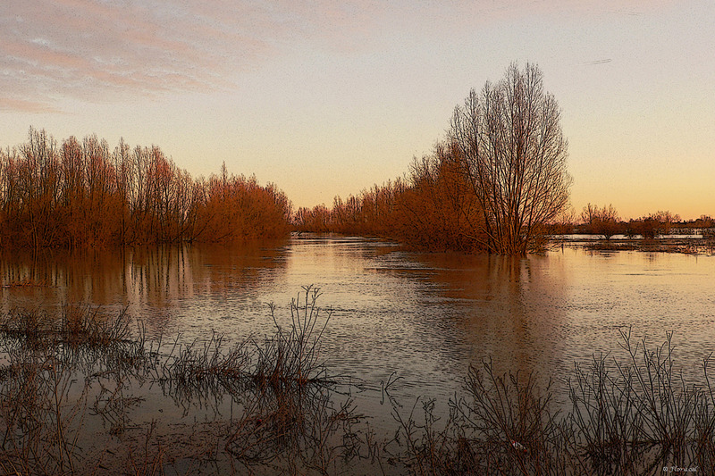 Hoog water