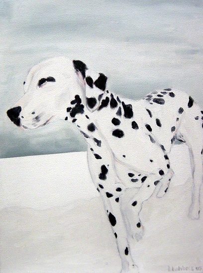 Dalmatier klein
