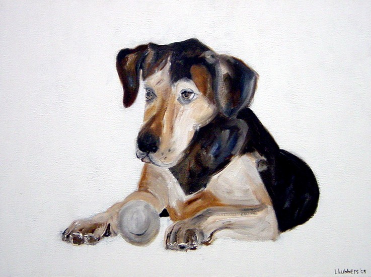 Liggend hondje met bal