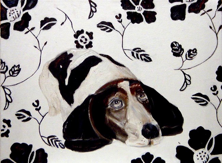 Liggend hondje oren op grond