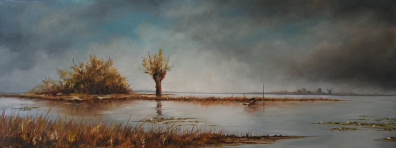 Waterlandschap met knotwilg