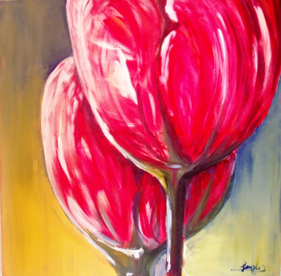 Grote tulpen