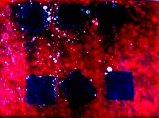 Contamination