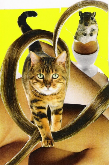 kaart poes