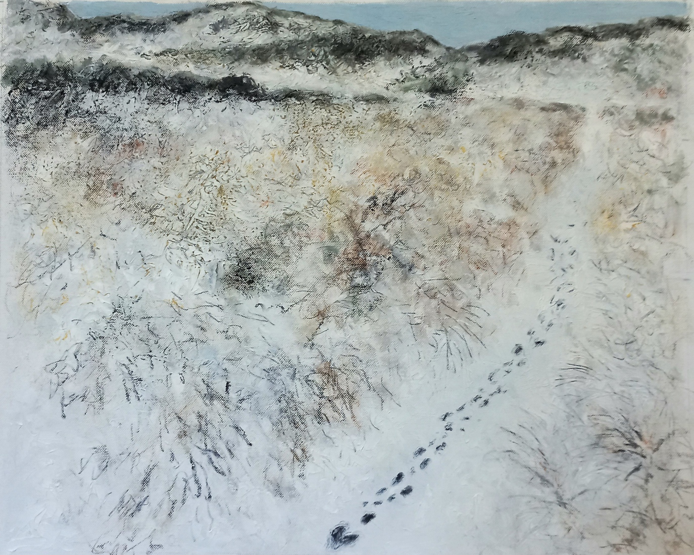 tracks in the snow (2)