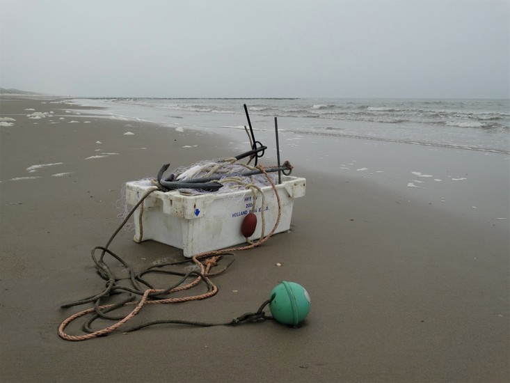 When Miró met Beuys