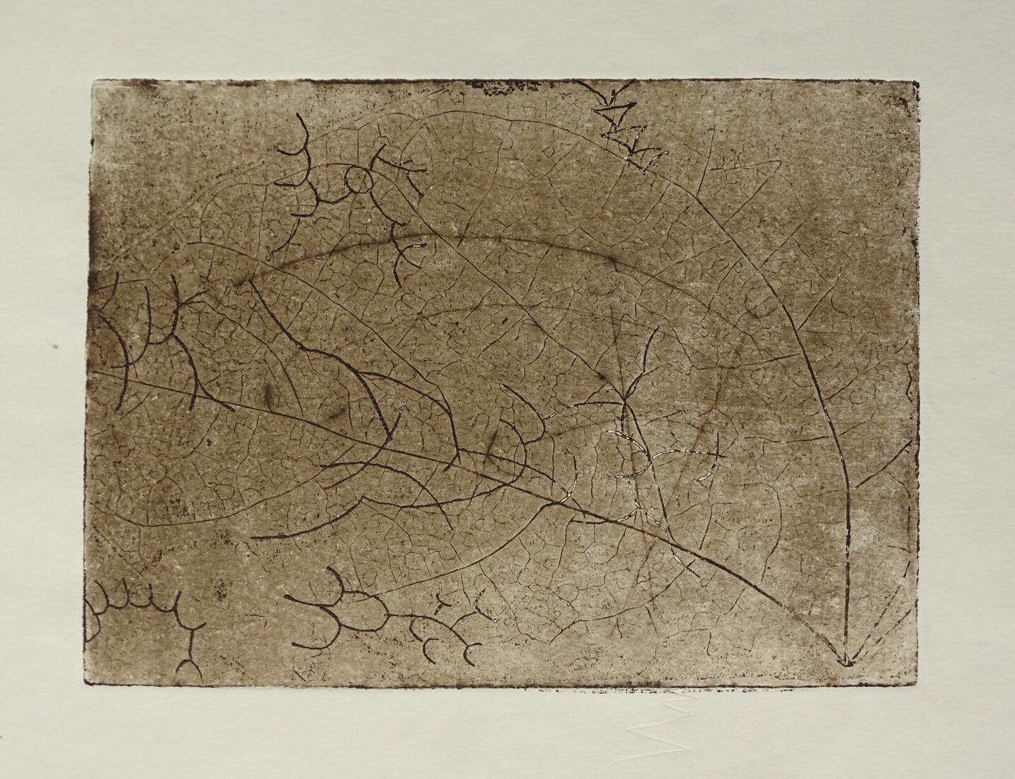 non-autotypic mediation