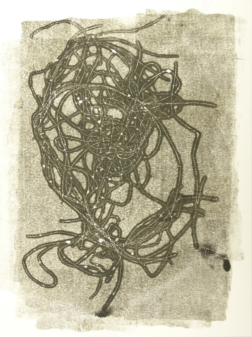 Louise (or, a spider is no octopus)