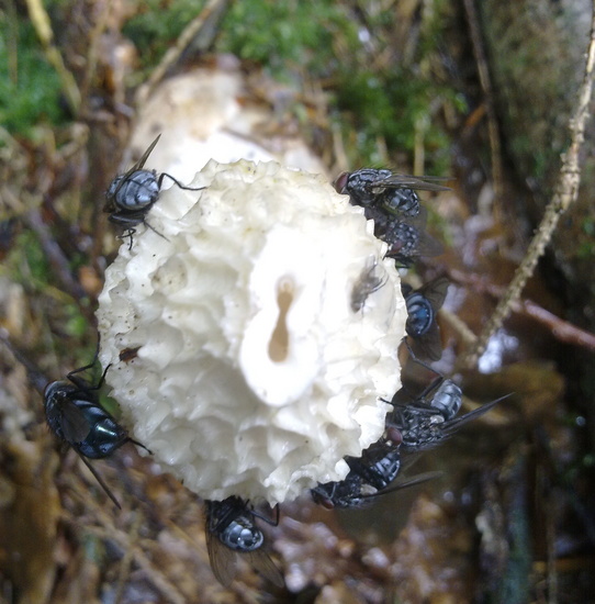 anders dan zwart wit