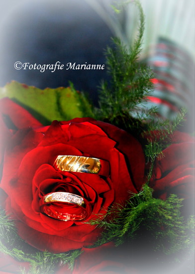 ringen
