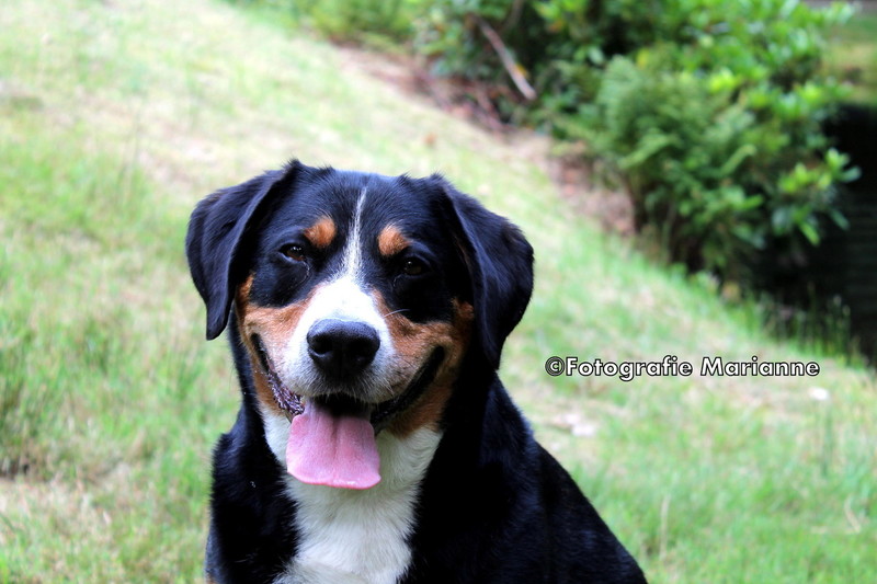 maud (smile)