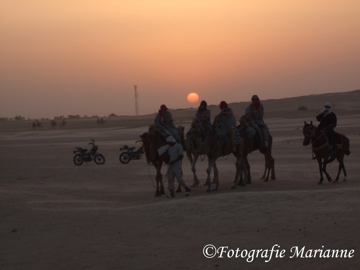 Sahara (Tunesie 2009)