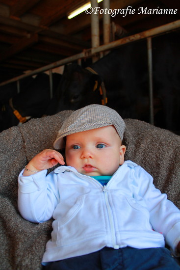 Harmen