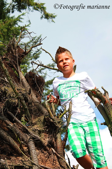 Eelke