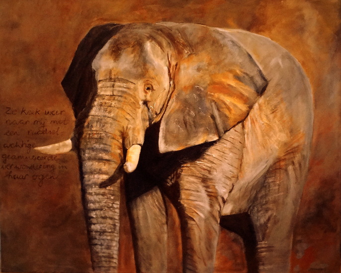 Water voor de olifanten