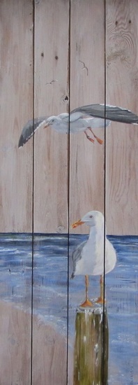 116. Meeuw op dukdalf