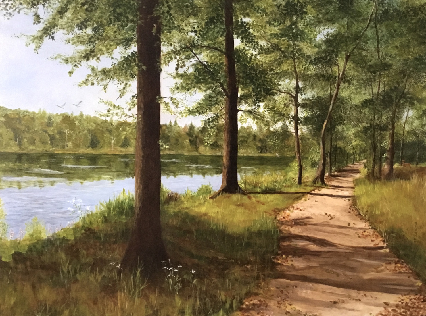 Zwart Water in de Venkoelen te Venlo