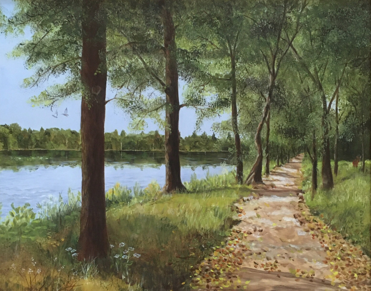 Zwart Water, de Venkoelen in Venlo