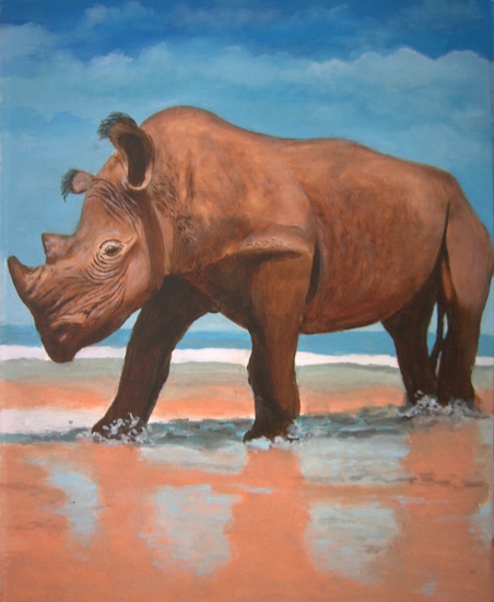 Rhinoceros