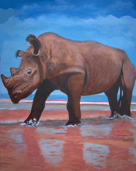 Rhinoceros