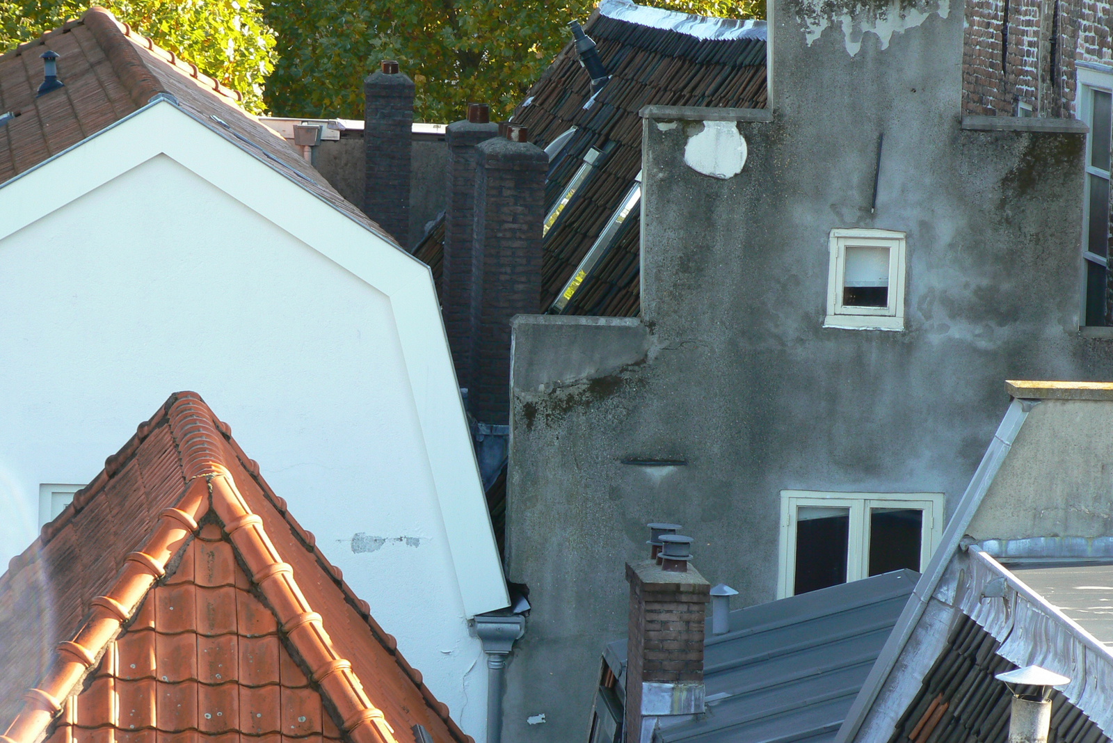 the backside of the right