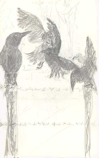 Landdag/Riksdagsmöte