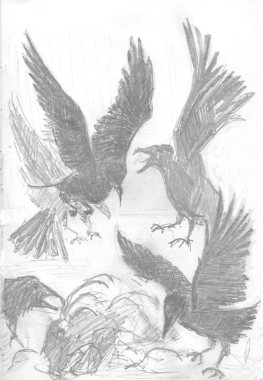 Langs de wegkant/Utmed vägkanten