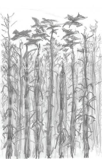 Middagherriemakerij/Eftermiddagsväsnas