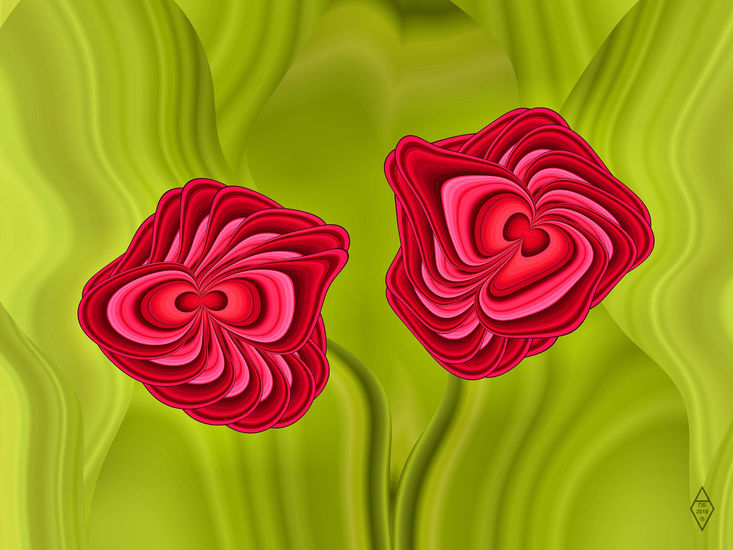 Poppies