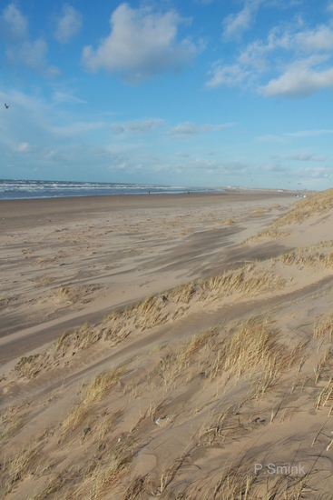 Lijnenspel in de duinen