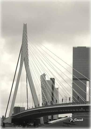 Rotterdam Erasmusbrug