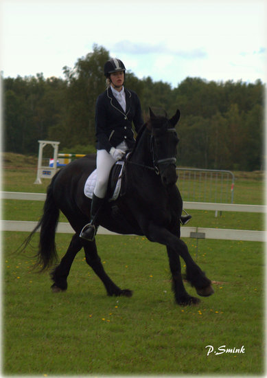 Paardensport
