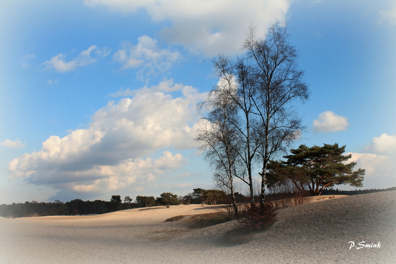 Soesterduinen