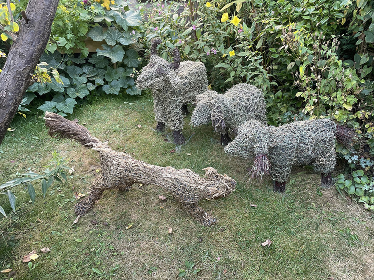 minikudde grasschapen