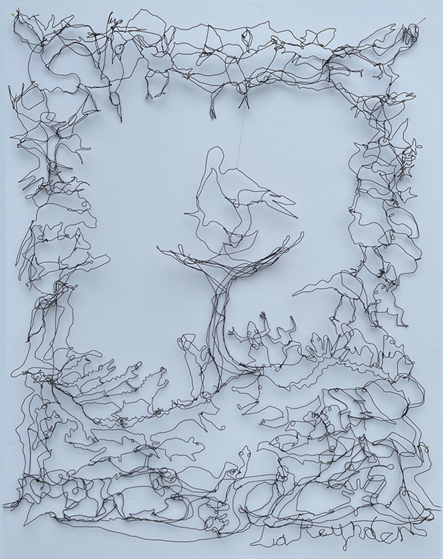 ooievaar en biodiversiteit