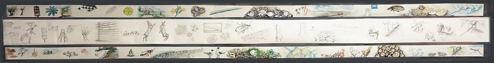 wandelen van A naar B 