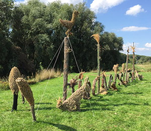 Installaties in brede zin van het woord. In proces, tijd, binnenruimte of de vrije natuur. Bij installatie in ruimte is het een reactie op de ruimte en de plek. De installatie draagt een beeld over op de toeschouwer , dat door mij is ervaren. Materiaalkeuze afhankelijk van de keuze van het beeld