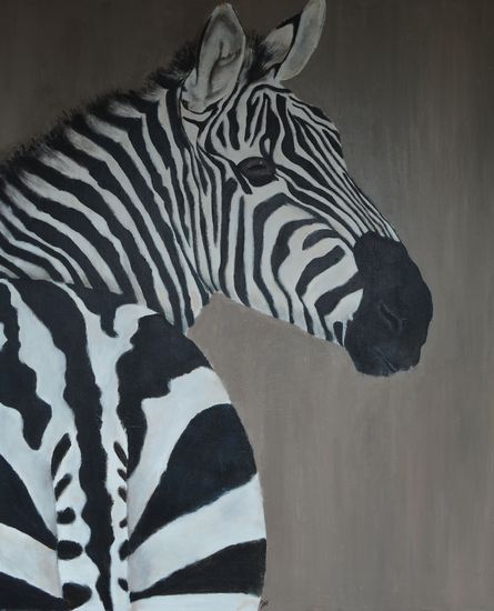 zebra