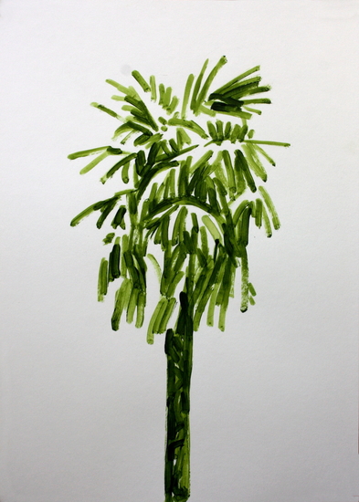 palmboom 31