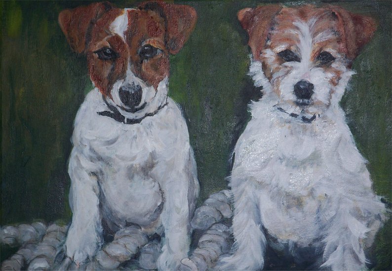 Twee Jack Russels