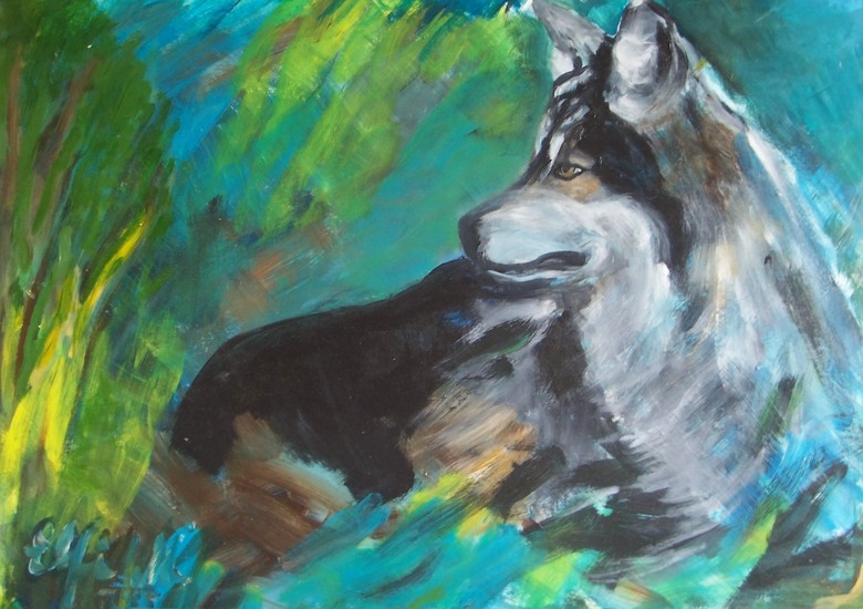 Wolf in spanning