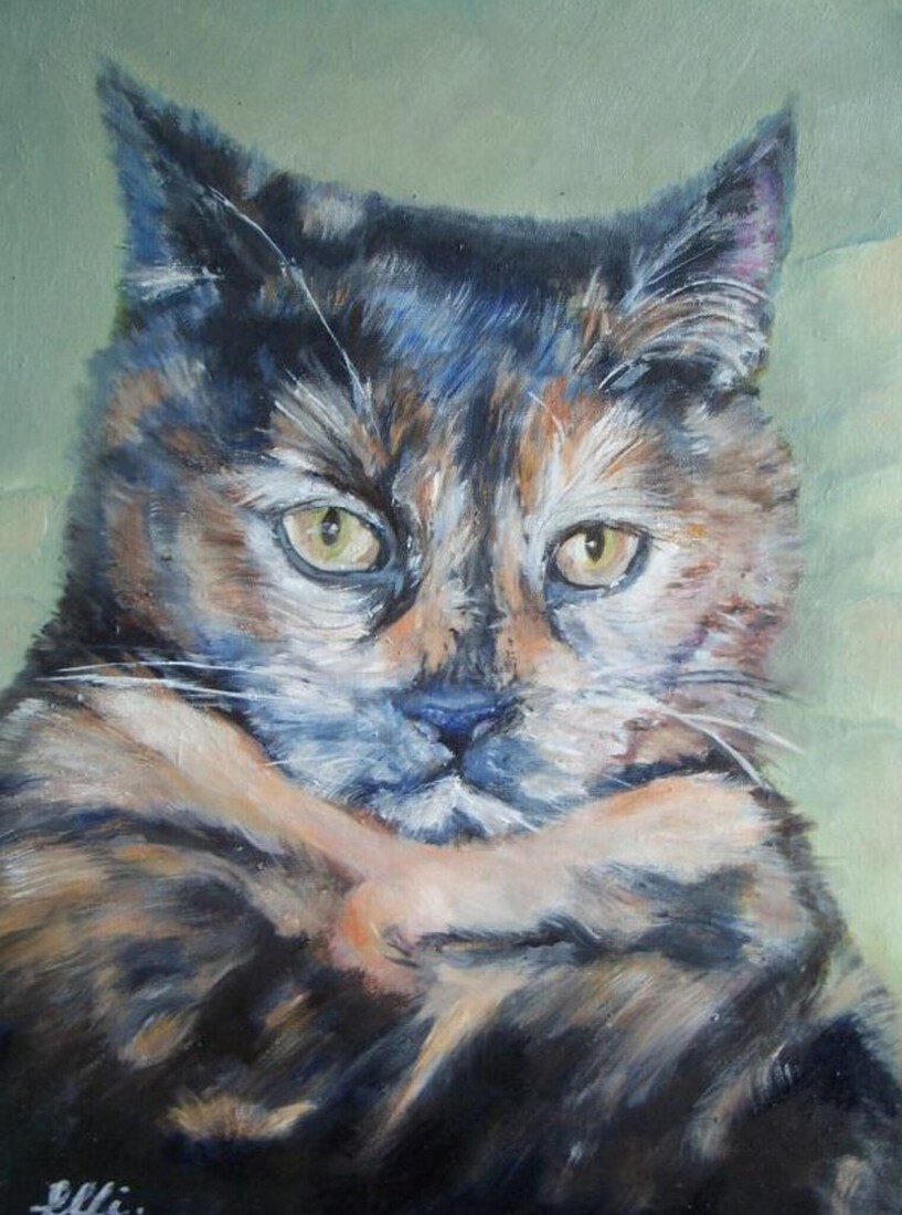 Poes