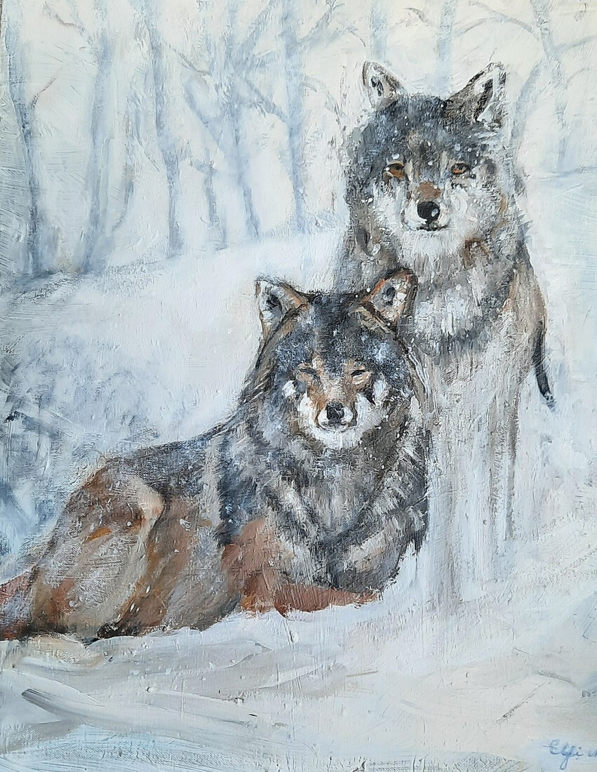Wolven in de sneeuw
