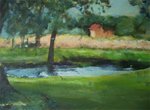 landschap op een zomerse dag