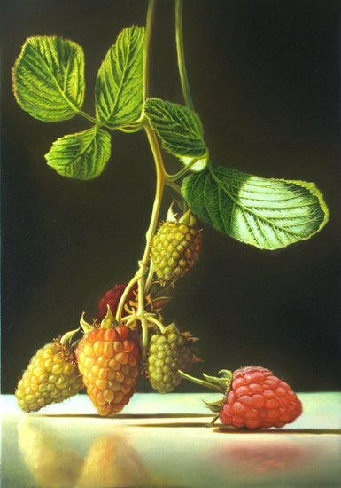 stilleven met frambozen