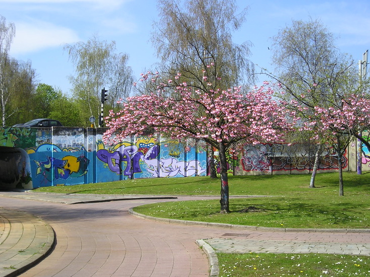 Spring Graffitti