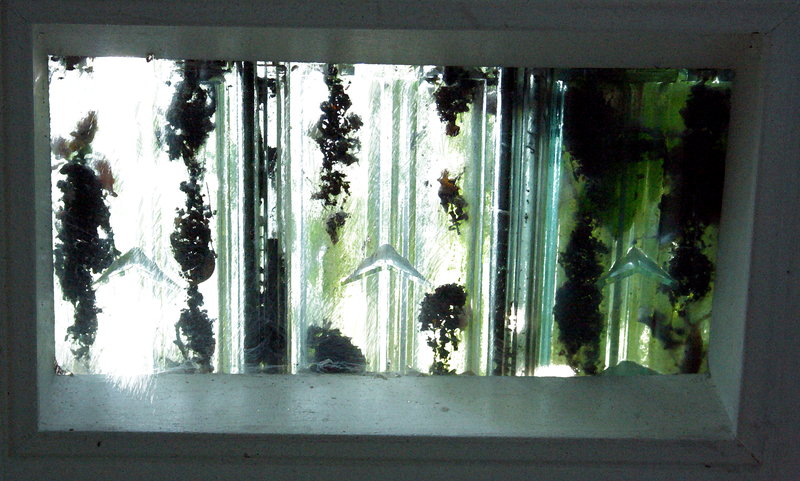 Little window in the chapel