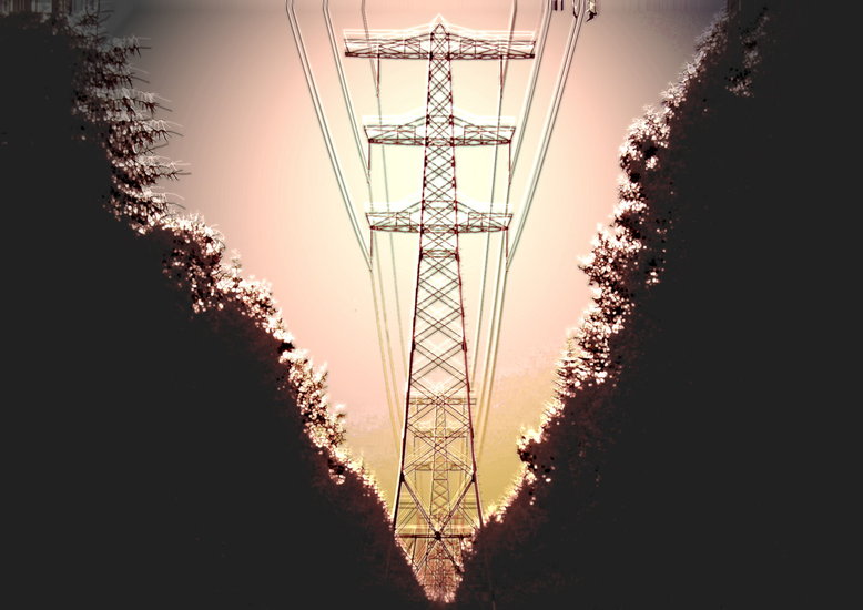 Vanishing point forest of masts